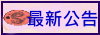 最新公告